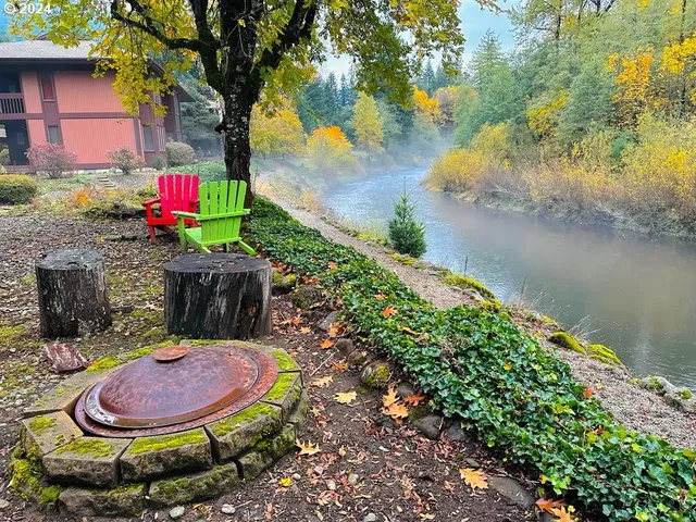 a view of a yard with trees in the background