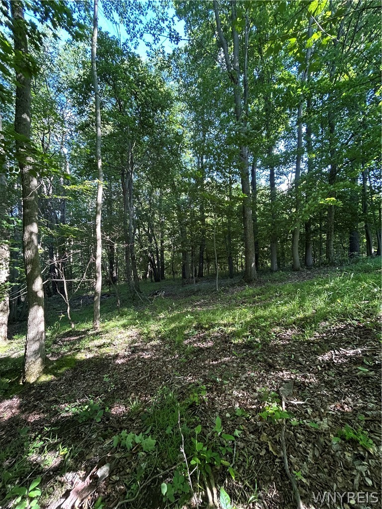 6810 Rt-39 Bliss, NY 14024 - Photo 4 of 10 WOODS