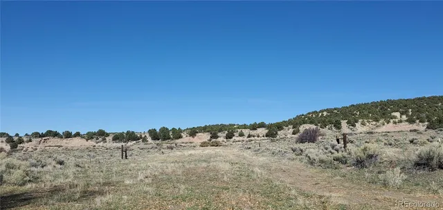a view of backyard with green space
