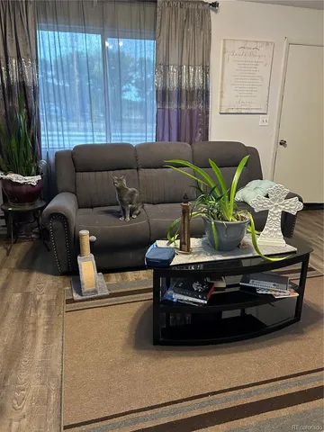 a living room with furniture and a potted plant