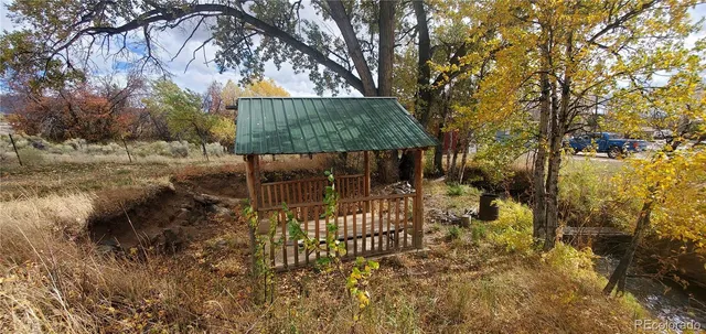 a view of a yard with plants and tree
