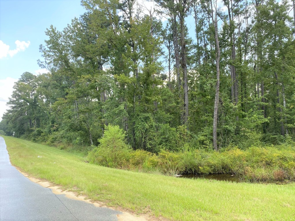1721 Lakegrove Road Wewahitchka, FL 32465 - Photo 2 of 9