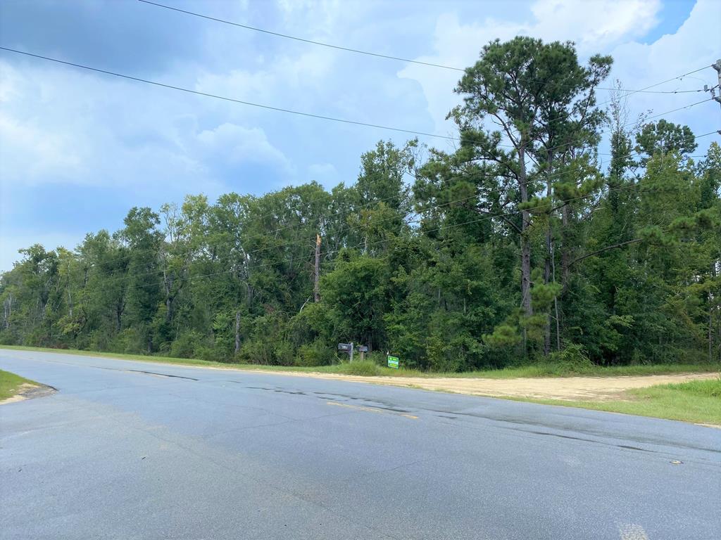1721 Lakegrove Road Wewahitchka, FL 32465 - Photo 3 of 9