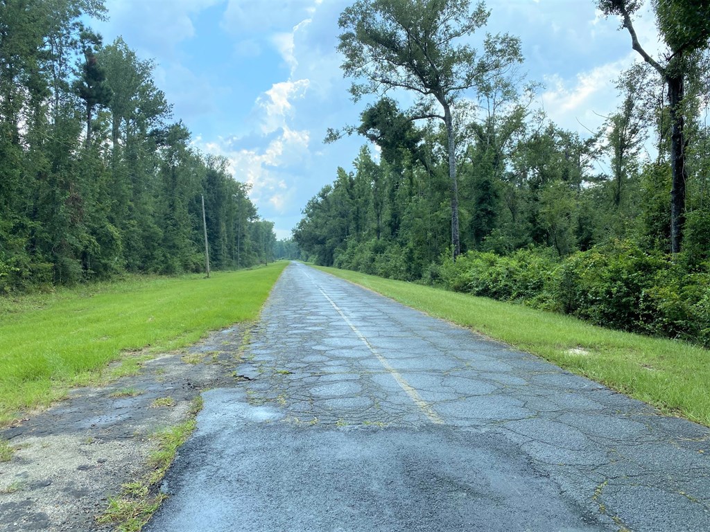 1721 Lakegrove Road Wewahitchka, FL 32465 - Photo 5 of 9