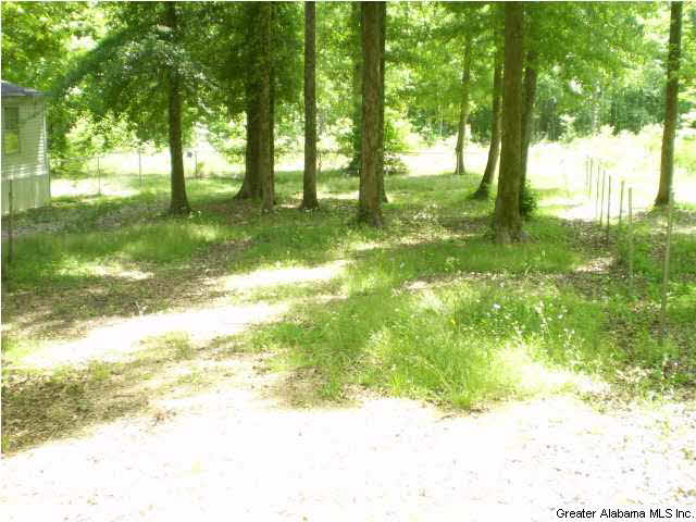 485 Friendship Drive, Unit 27 Springville, AL 35146 - Photo 7 of 32
