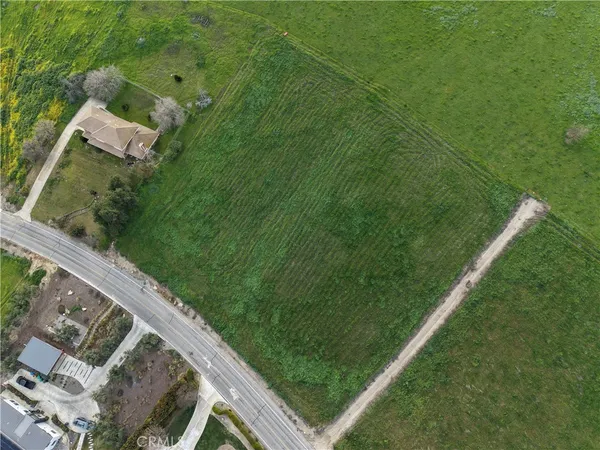 a view of a backyard with plants
