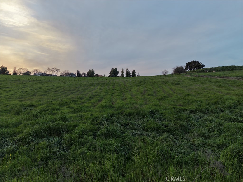 125 High Sierra Drive Exeter, CA 93221 - Photo 7 of 19 a view of a big yard with a house in the background