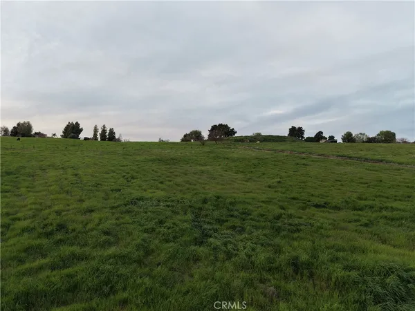 a view of a field of grass and trees