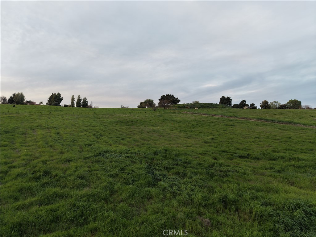 125 High Sierra Drive Exeter, CA 93221 - Photo 8 of 19 a yard view with outdoor space and trees all around