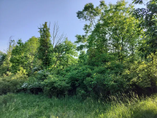 $165,000 | Vl 56th Street, Unit A, Fennville, MI 49408