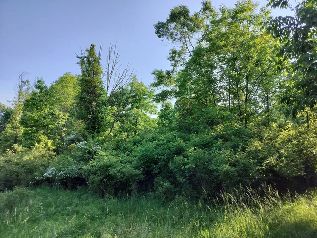 $165,000 | Vl 56th Street, Unit A, Fennville, MI 49408