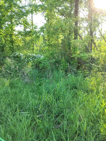 $165,000 | Vl 56th Street, Unit A, Fennville, MI 49408