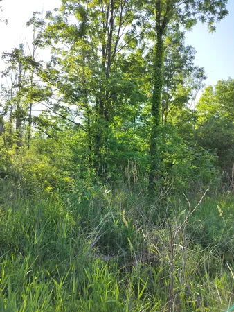 $165,000 | Vl 56th Street, Unit A, Fennville, MI 49408