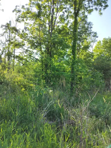 $165,000 | Vl 56th Street, Unit A, Fennville, MI 49408