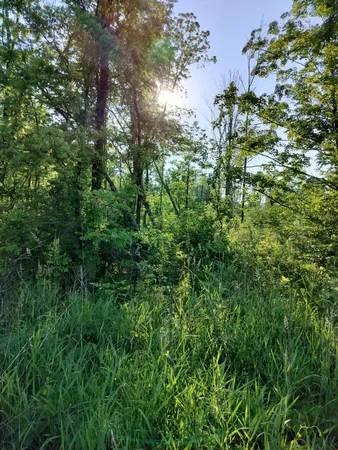 $165,000 | Vl 56th Street, Unit A, Fennville, MI 49408