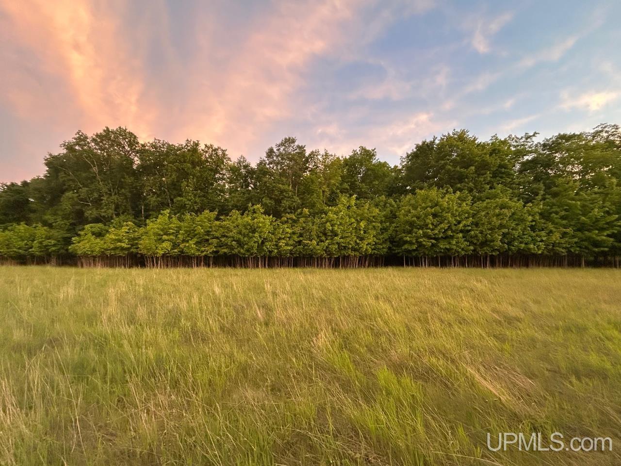 Lot 5 County Road Ishpeming, MI 49849 - Photo 4 of 14