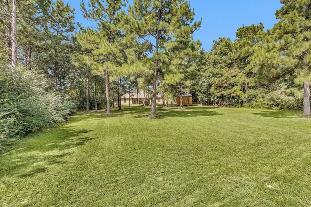 a view of yard with trees