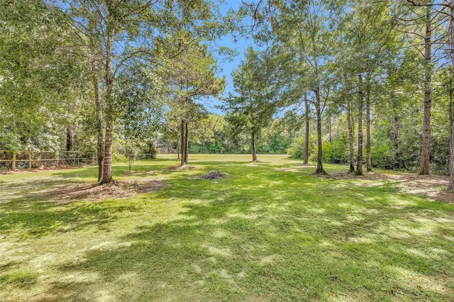 a view of field with trees