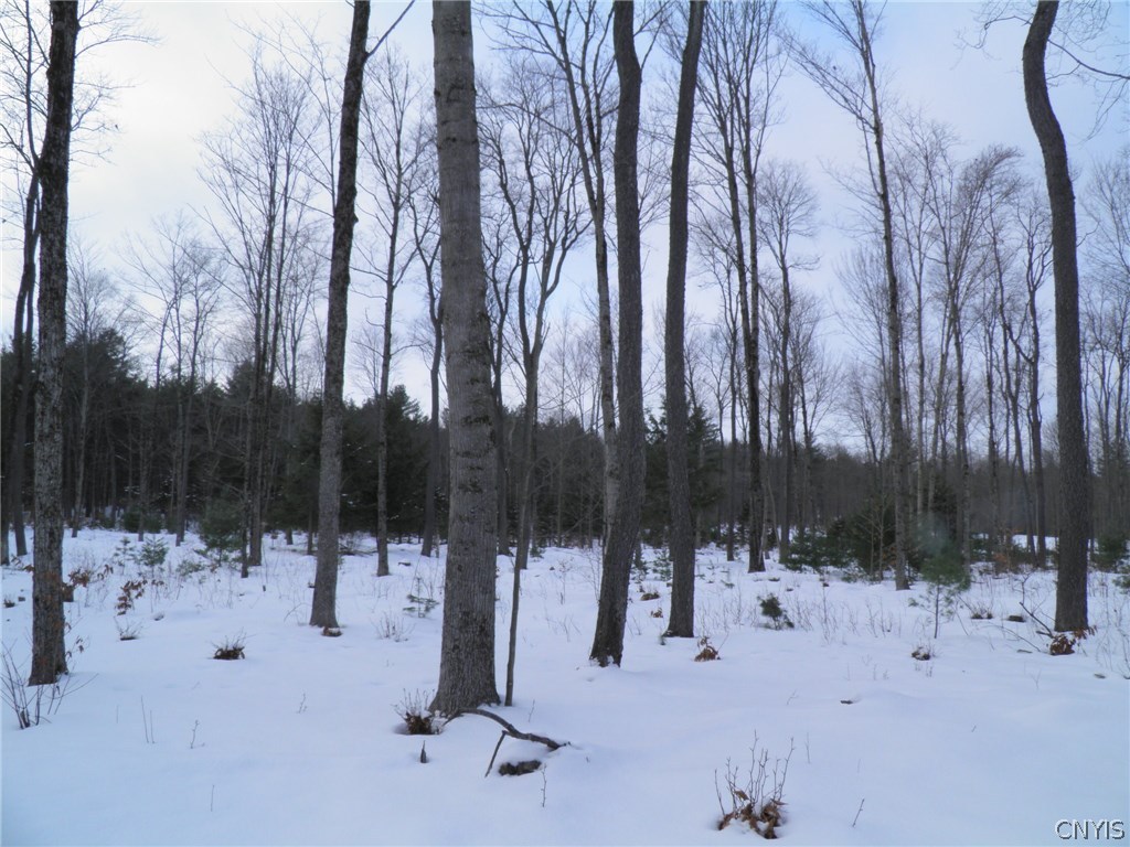 0 Abbey Road Brantingham, NY 13312 - Photo 16 of 30 Gallery Image 16