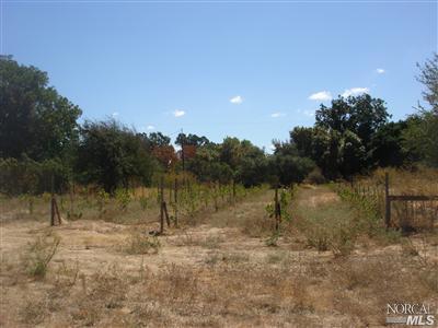 475 Pittman Road Fairfield, CA 94534 - Photo 9 of 12 Gallery Image 9