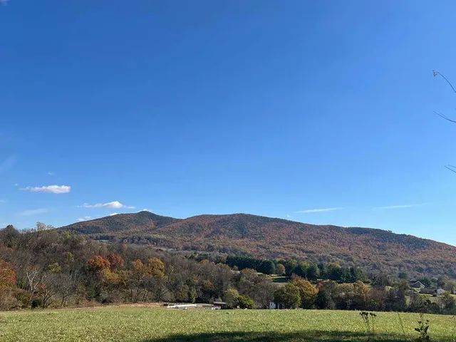 $445,000 | 1196 Cardiff Court, Roanoke, VA 24019