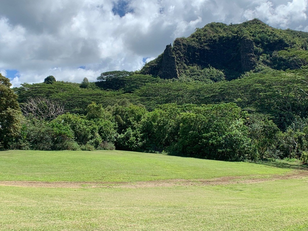 5552 Kuamoo Road, Unit 3 Kapaa, HI 96746 - Photo 8 of 18 Gallery Image 8