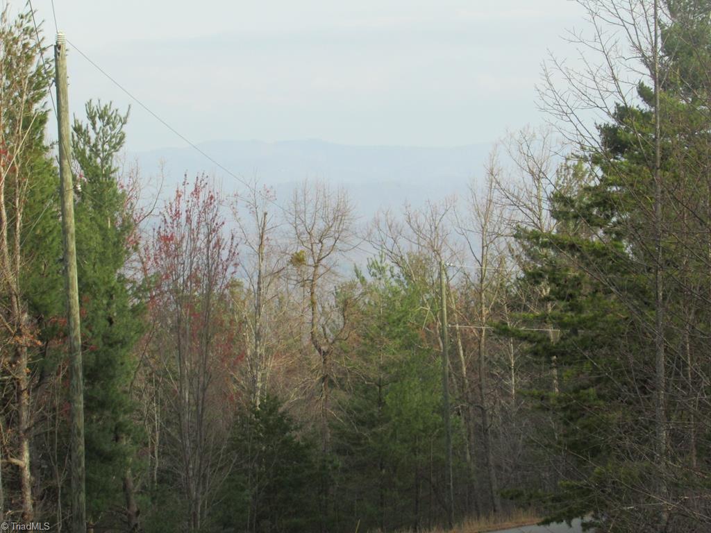 0 Rose Brier Road Boomer, NC 28606 - Photo 1 of 1 Gallery Image 1