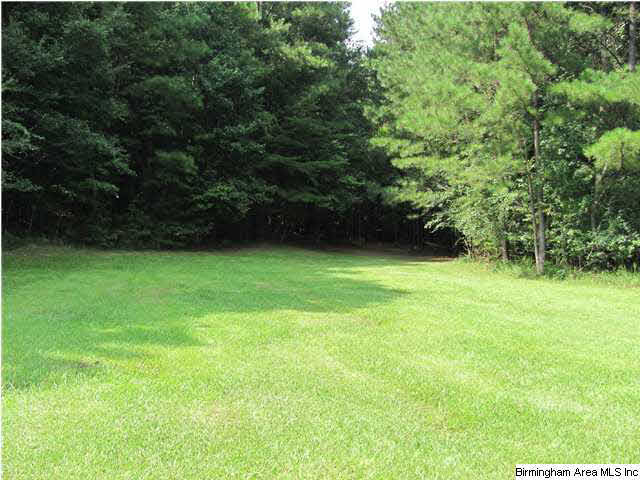 100 Cahaba Oaks Trail Pelham, AL 35124 - Photo 10 of 24