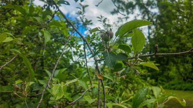 $345,000 | 1156 Southeast 180th Road, Clinton, MO 64735