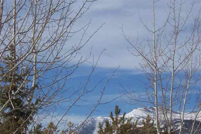 2987 Stonebridge Trail Reno, NV 89511 - Photo 8 of 9 Photo 8