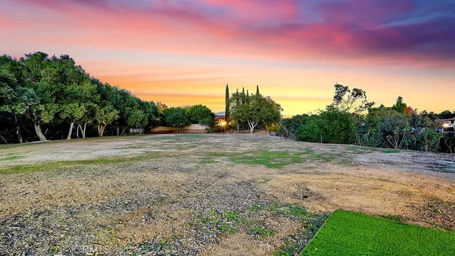 a view of a field with trees in background