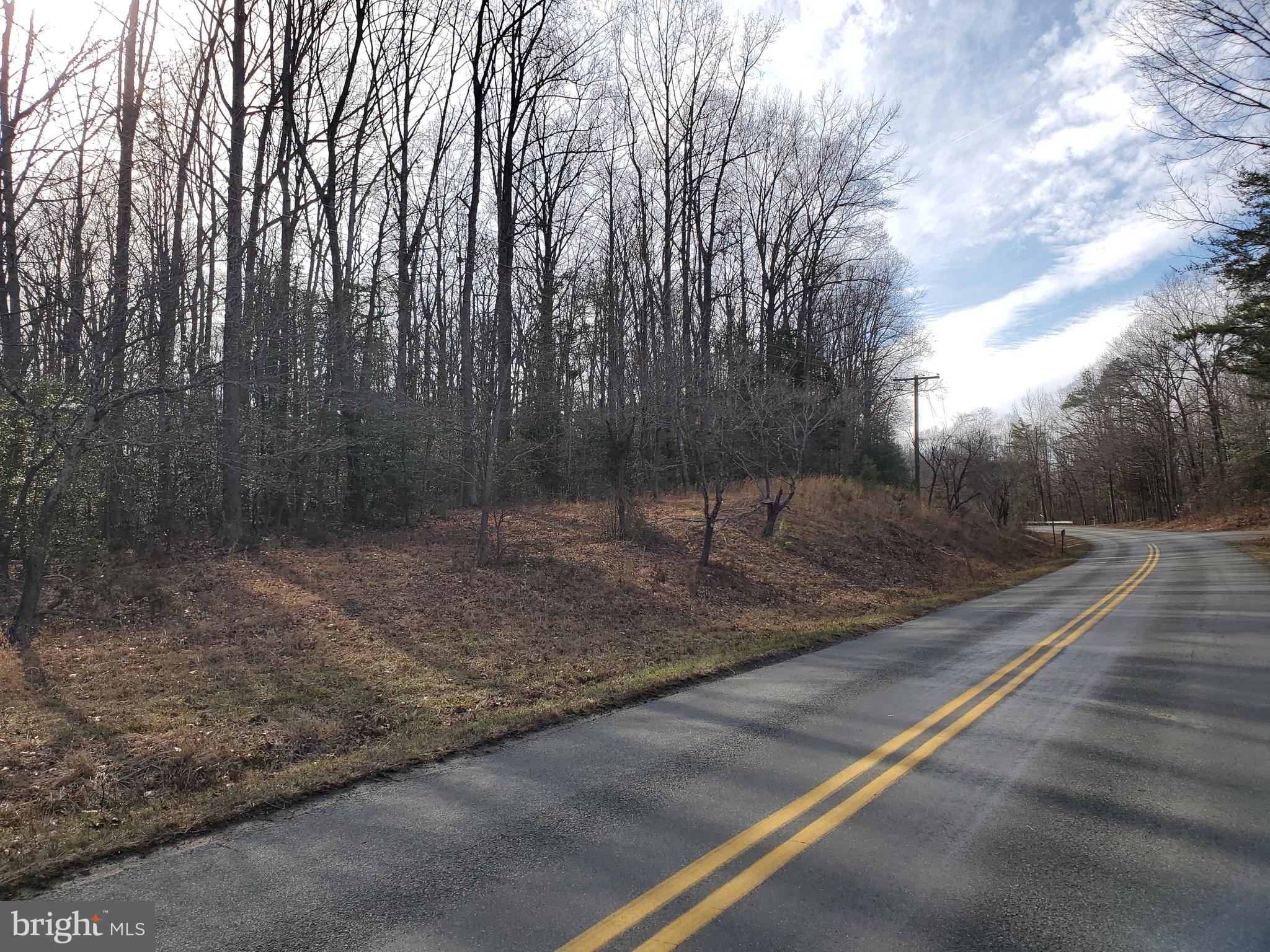 0 Carrs Bridge Road Mineral, VA 23117 - Photo 14 of 32 Western facing view of Carr's Bridge Road.