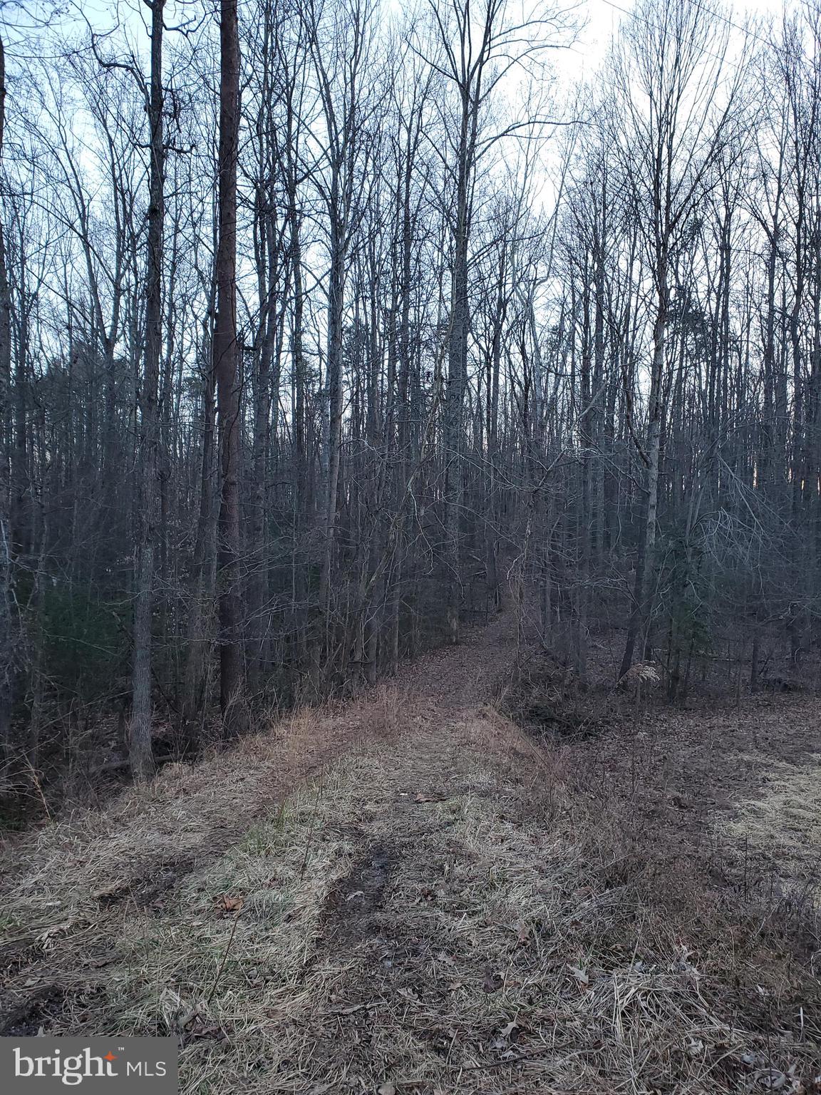 0 Carrs Bridge Road Mineral, VA 23117 - Photo 24 of 32 Sunset through the treetops