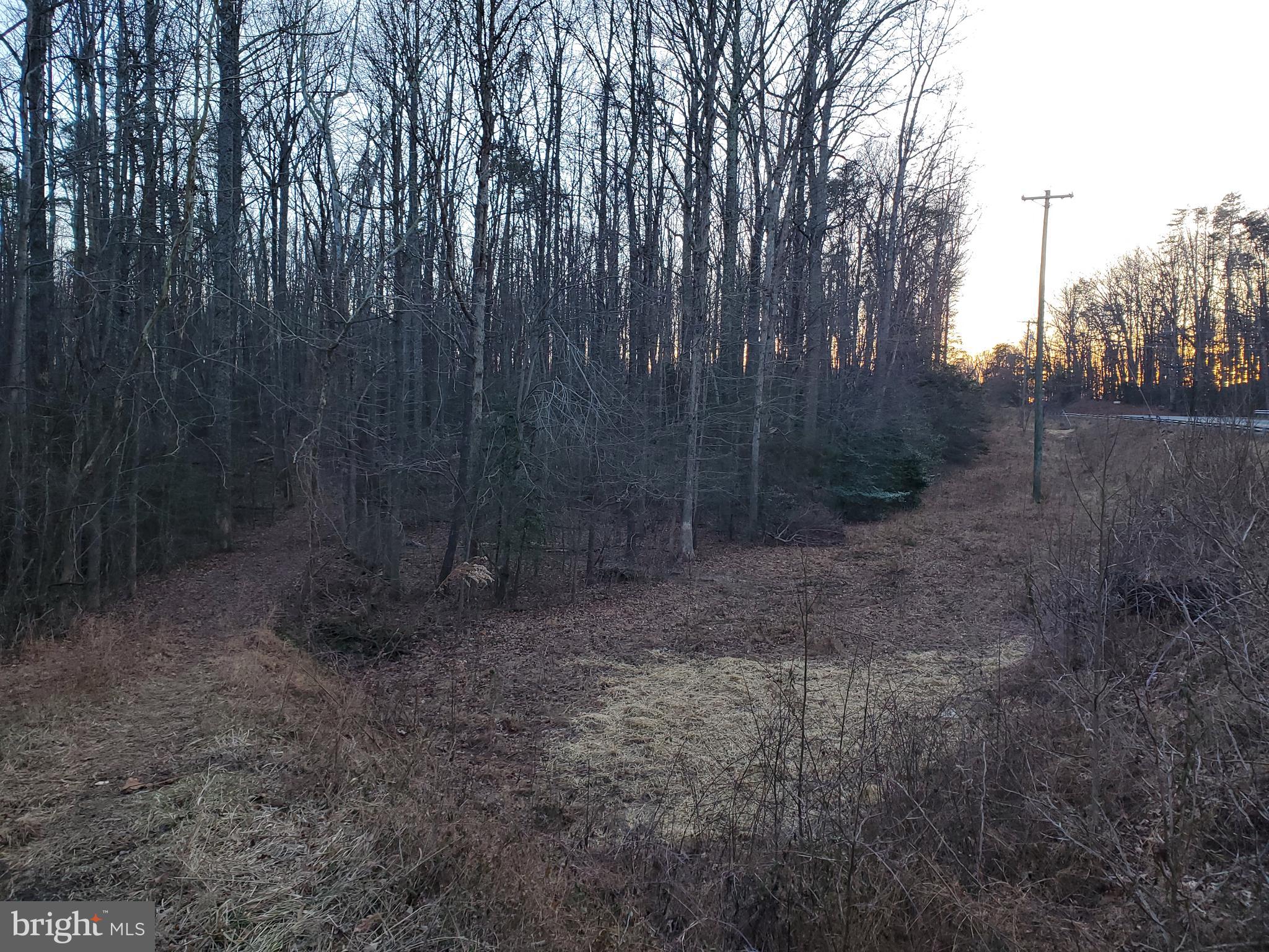 0 Carrs Bridge Road Mineral, VA 23117 - Photo 28 of 32 Cleared area along utility lines.