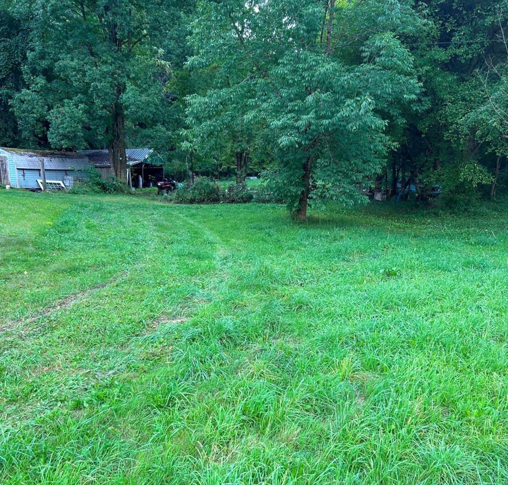 16 Cobham Hill Road Tidioute, PA 16351 - Photo 4 of 11