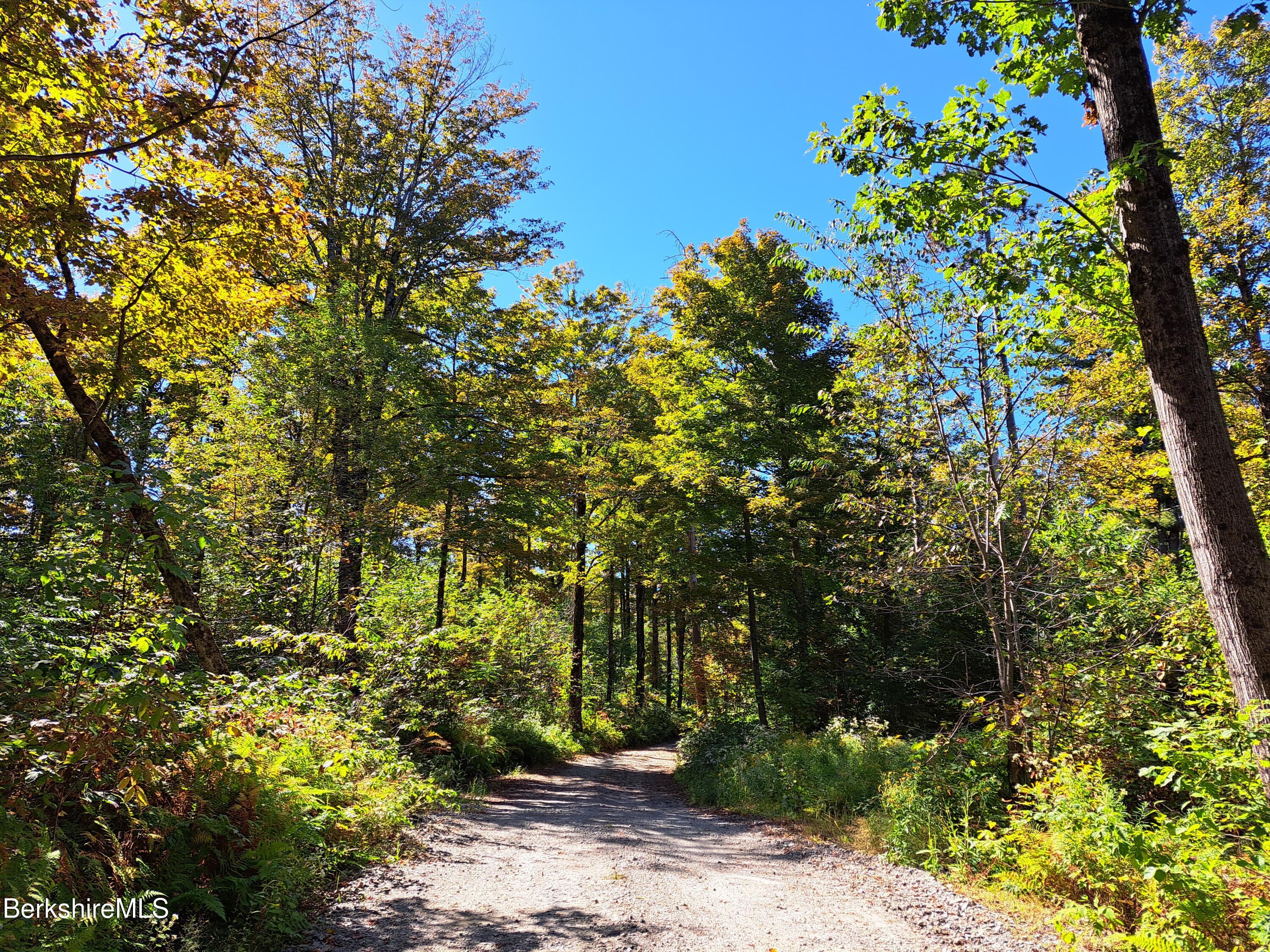 Lot ''b'' Beulah Land Road Blandford, MA 01008 - Photo 3 of 18 18-20250920_135108