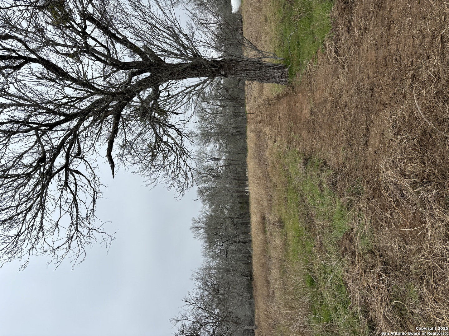 921 Roosevelt Road Kingsbury, TX 78638 - Photo 5 of 5