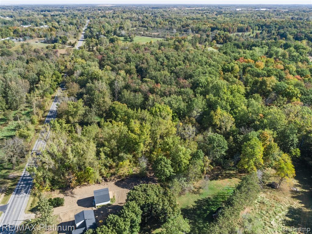 12111 Linden Road Linden, MI 48451 - Photo 10 of 12