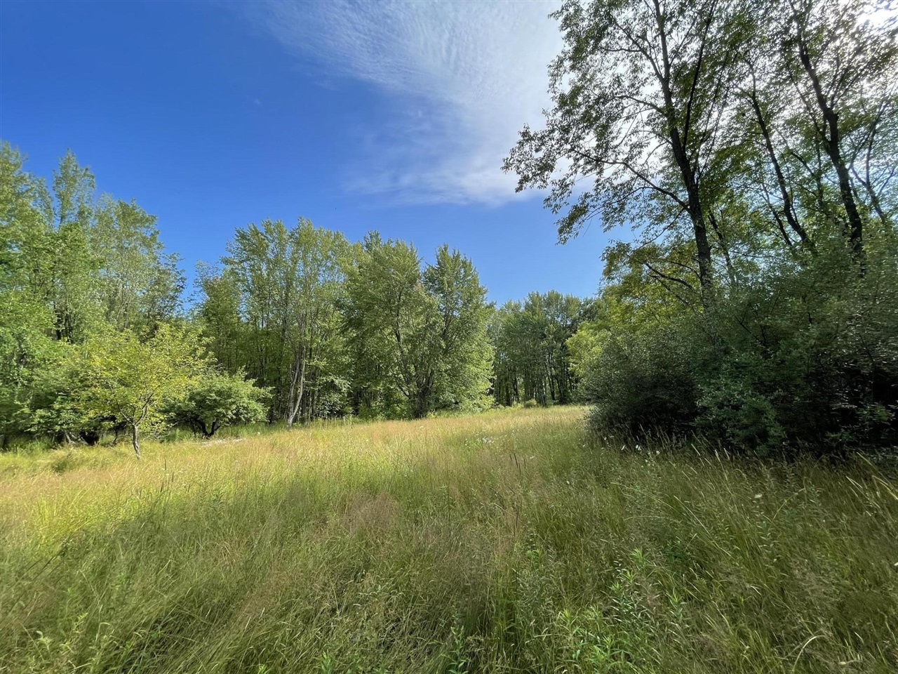 Beyer Road Road Free Soil, MI 49411 - Photo 3 of 46