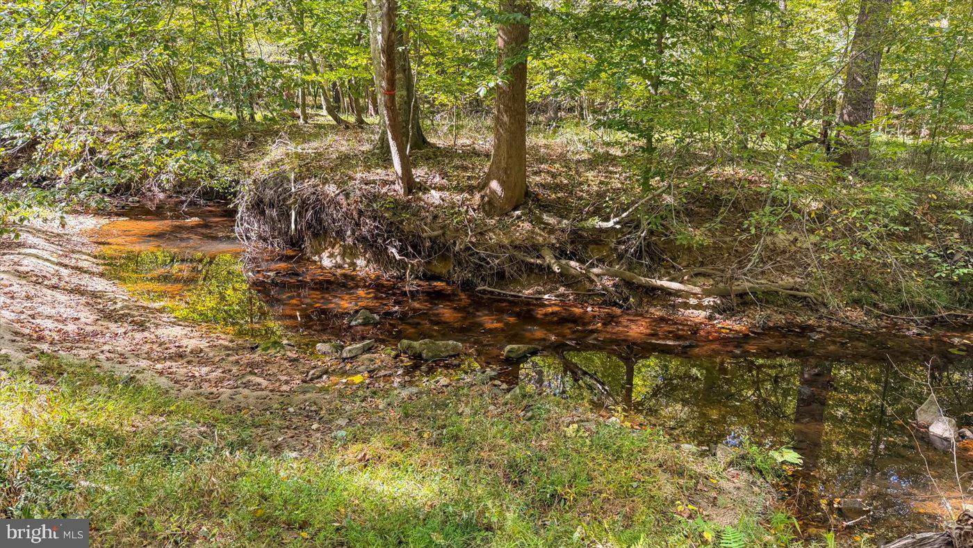12905 Spotswood Furnace Road Fredericksburg, VA 22407 - Photo 69 of 71 The creek provides a peaceful touch.