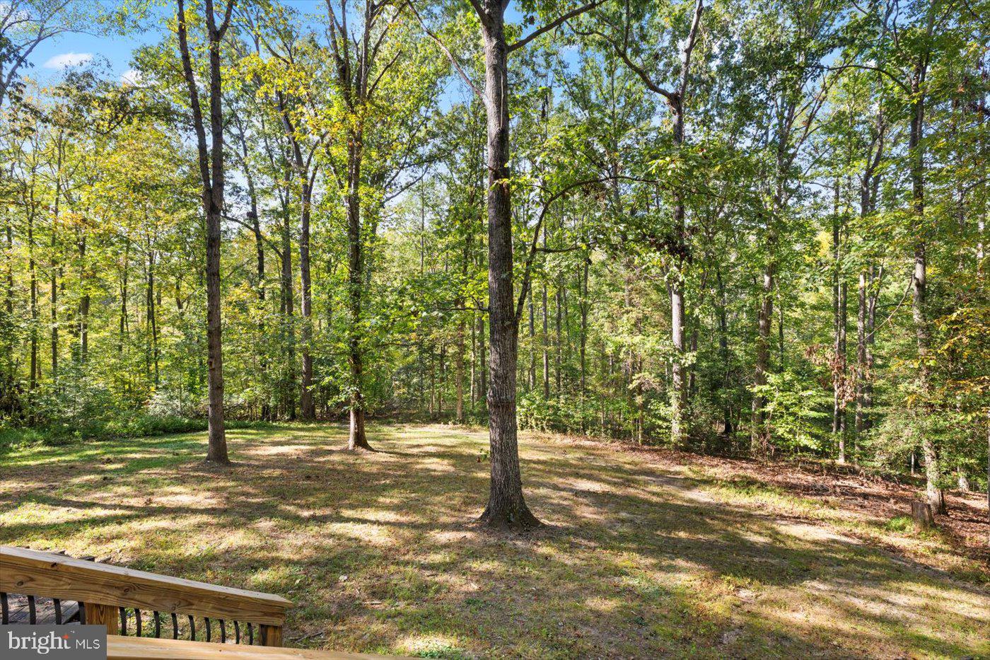 12905 Spotswood Furnace Road Fredericksburg, VA 22407 - Photo 70 of 71 Open land to enjoy - thank you for visiting!