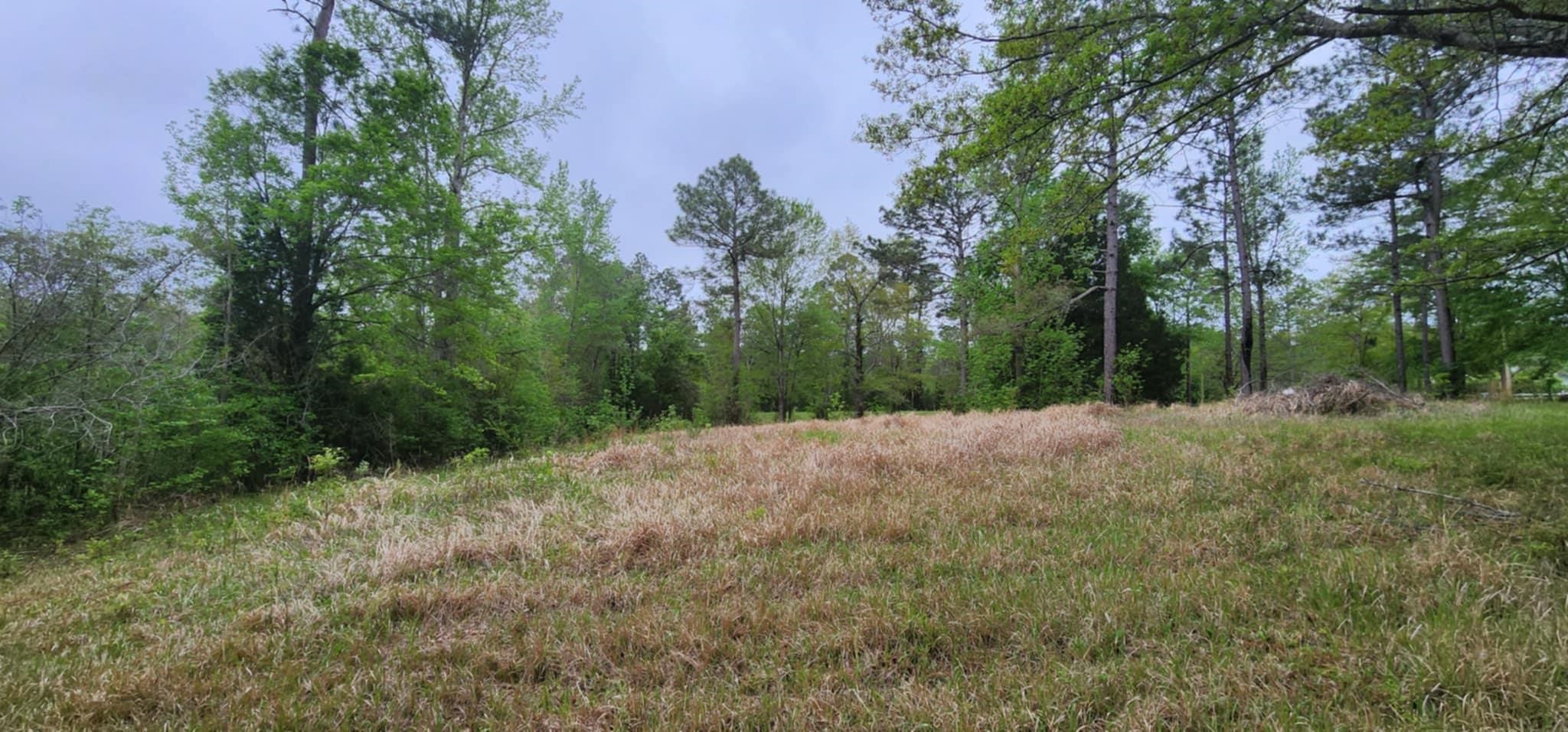 24407 Patterson Road Robertsdale, AL 36567 - Photo 6 of 18 View
