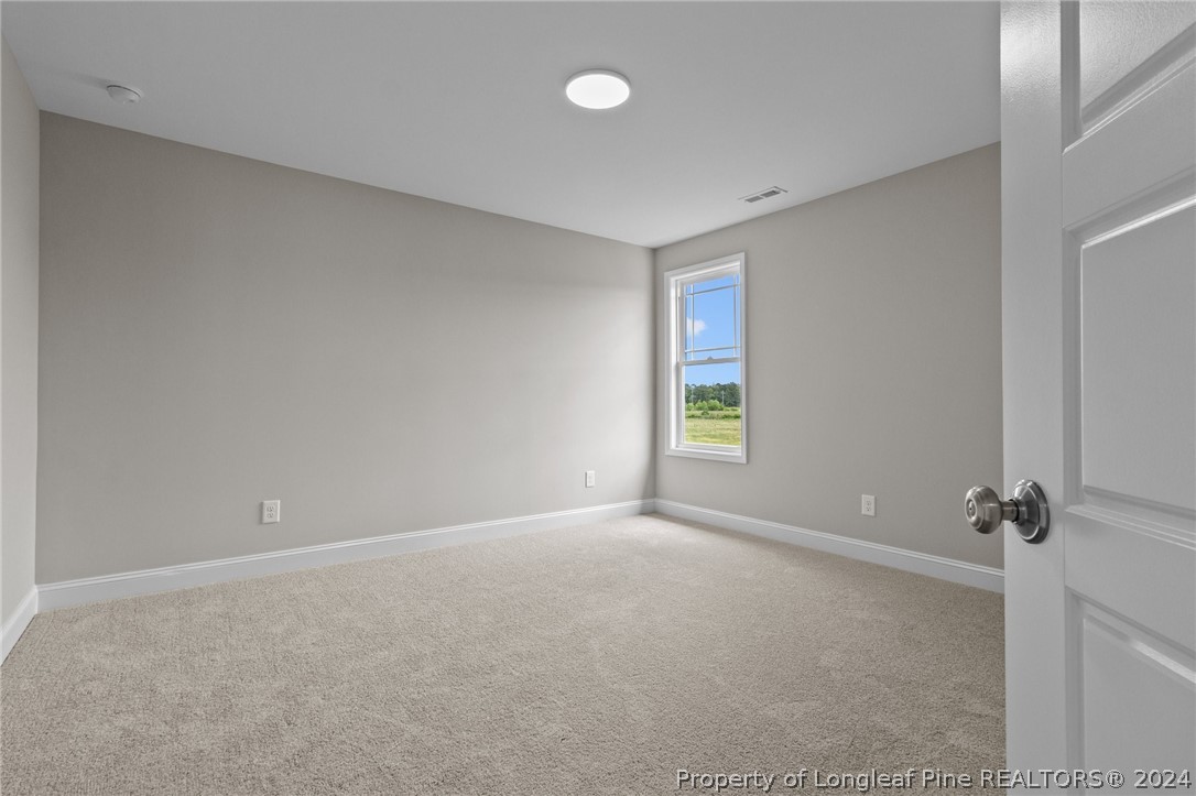 3206 Horseshoe Road, Unit LOT 2 Autryville, NC 28318 - Photo 27 of 35 Gallery Image 27