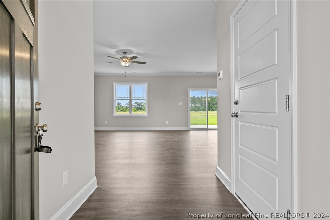 3206 Horseshoe Road, Unit LOT 2 Autryville, NC 28318 - Photo 5 of 35 Gallery Image 5