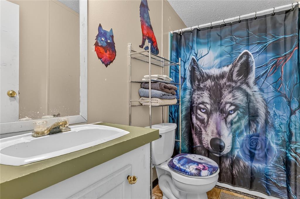 42312 Webster Street Altoona, FL 32702 - Photo 15 of 30 a bathroom with a sink and a mirror