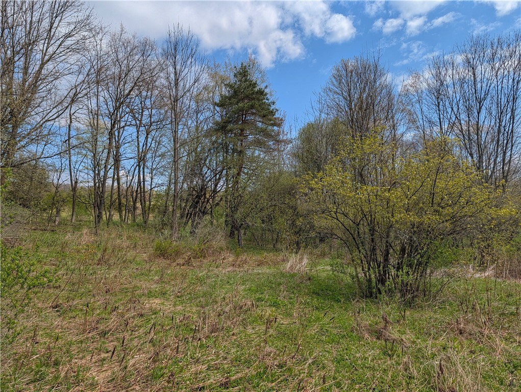 Ramey Road New Berlin, NY 13411 - Photo 2 of 7