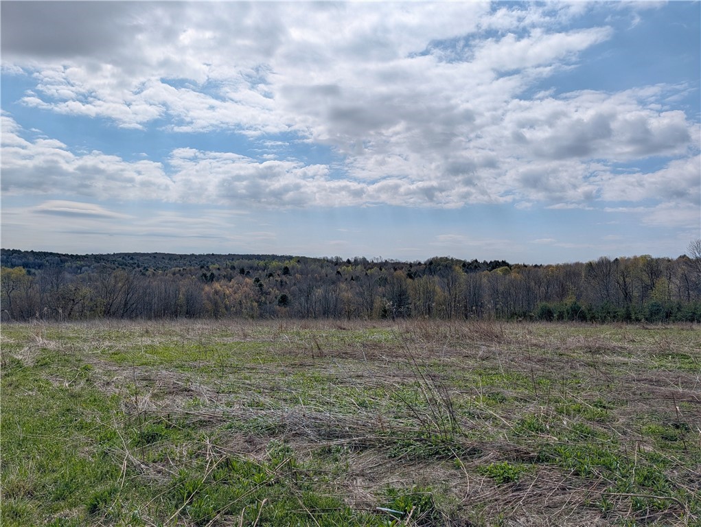 Ramey Road New Berlin, NY 13411 - Photo 4 of 7