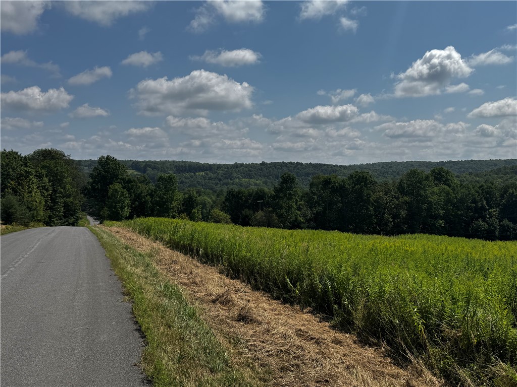 Ramey Road New Berlin, NY 13411 - Photo 7 of 7