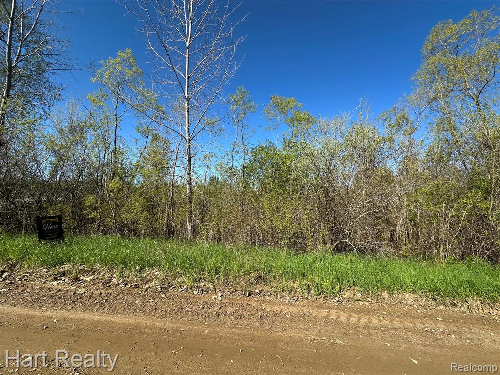 13 Single Tree Circle Dryden, MI 48428 - Photo 7 of 10