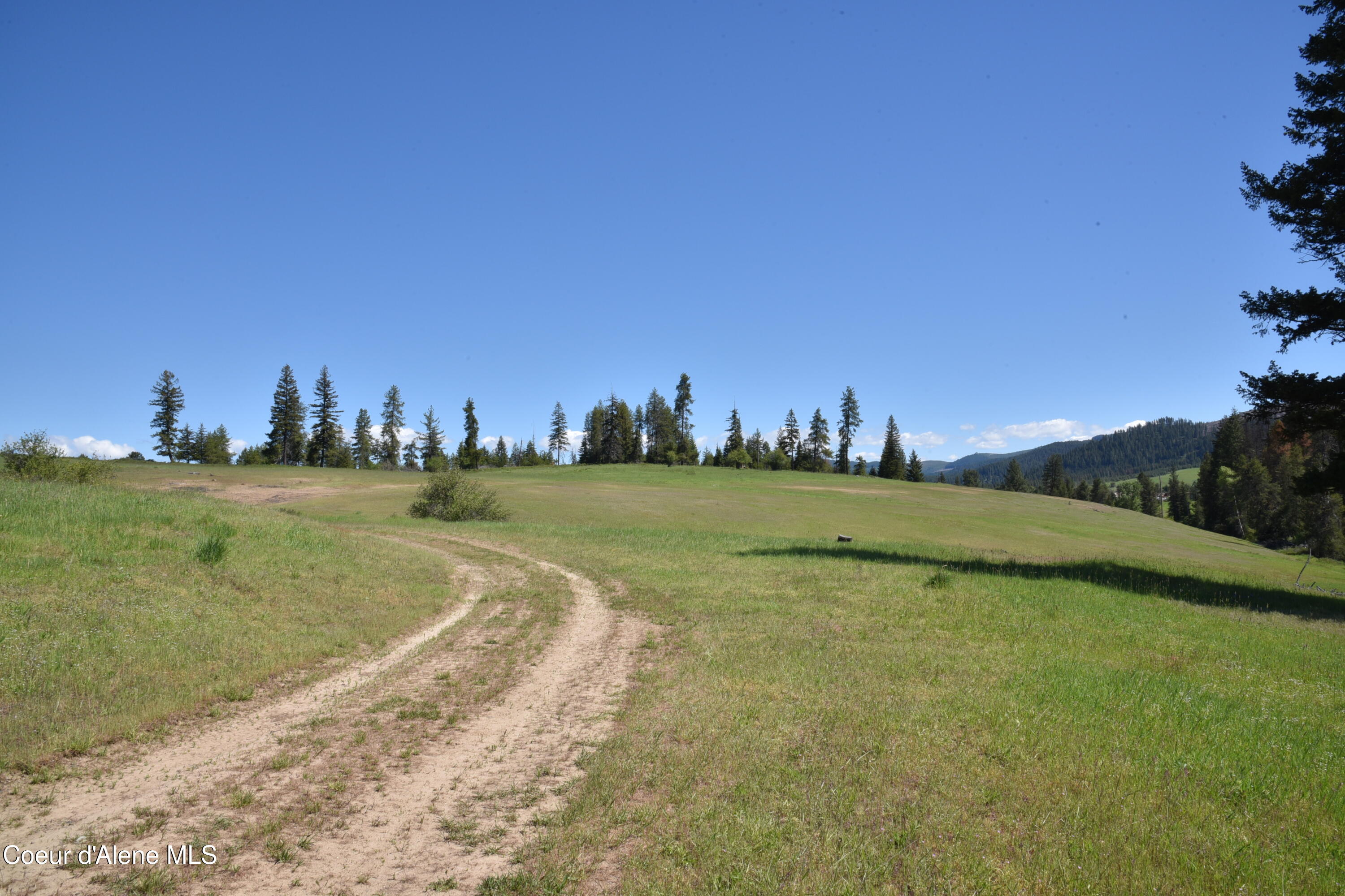 Nka Nka Tyson Creek Road St. Maries, ID 83861 - Photo 16 of 26 18